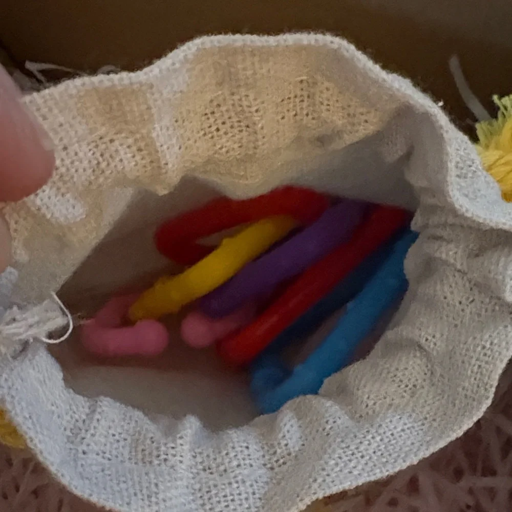 Natural Coconut Bird Toy with Orange Accents